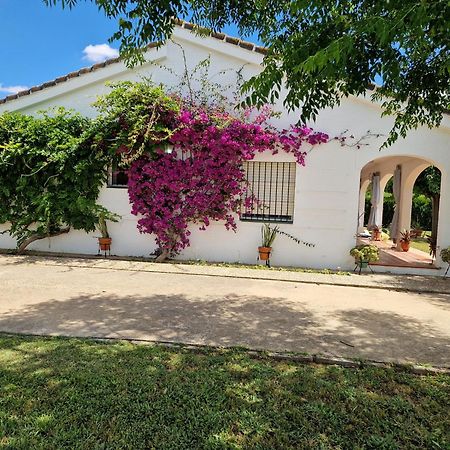 Casa En El Campo Cerca De Sevilla La Rinconada Exterior foto
