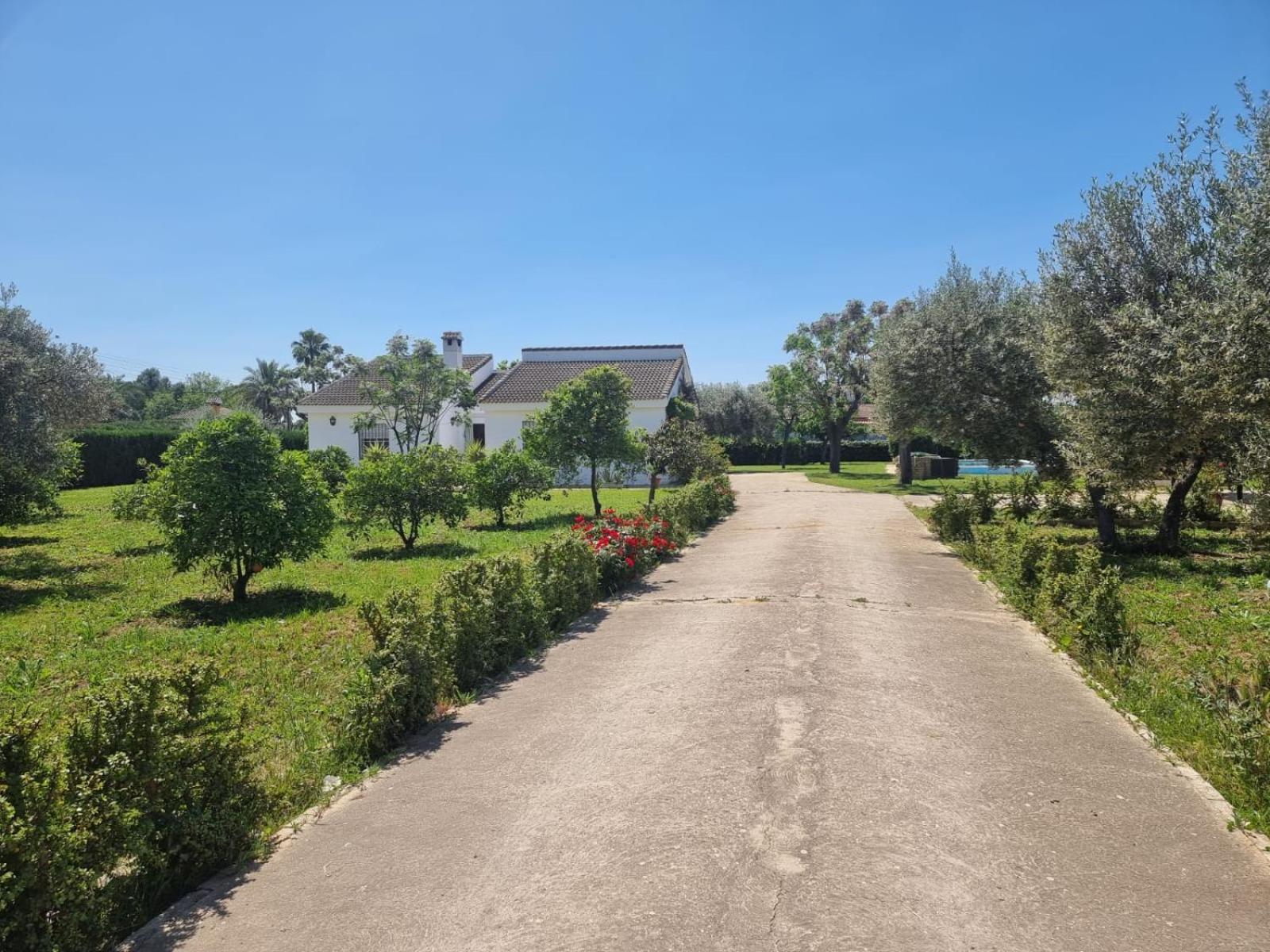 Casa En El Campo Cerca De Sevilla La Rinconada Exterior foto