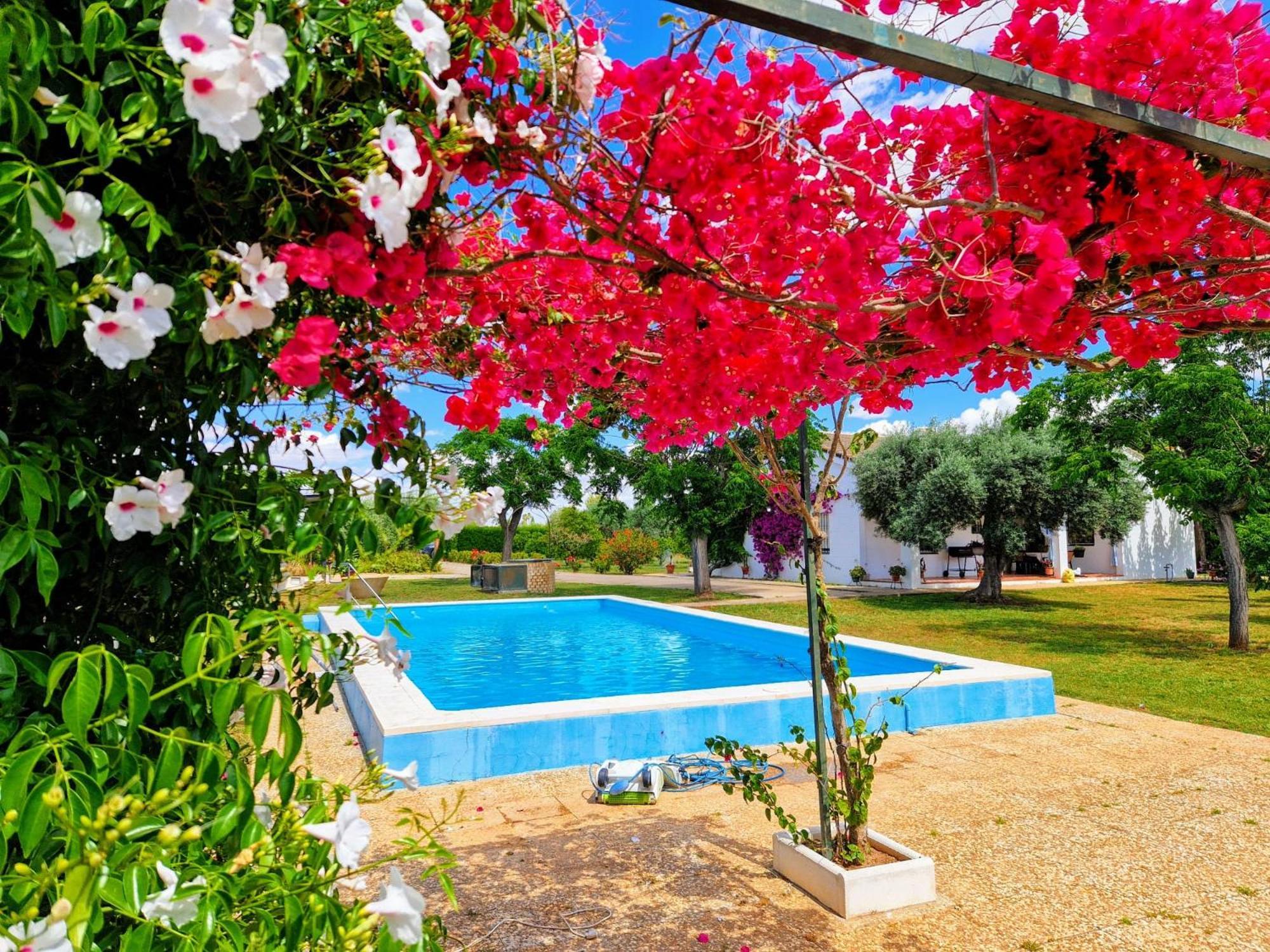 Casa En El Campo Cerca De Sevilla La Rinconada Exterior foto