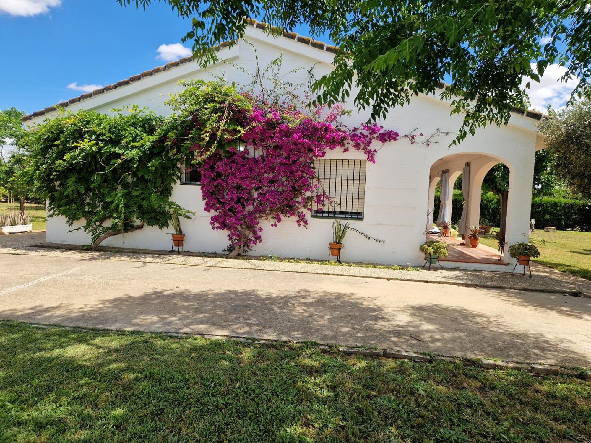 Casa En El Campo Cerca De Sevilla La Rinconada Exterior foto